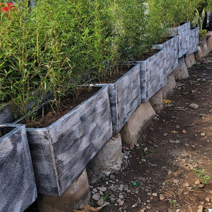 Decorative Concrete Flower Pots & Planters in Uganda